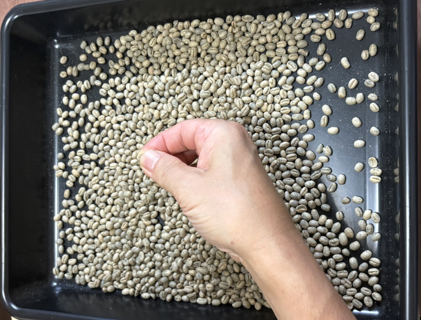 手作業で豆を選別している様子